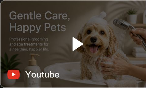 YouTube campaign video output